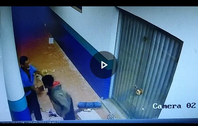 Reprodução / Whatsapp