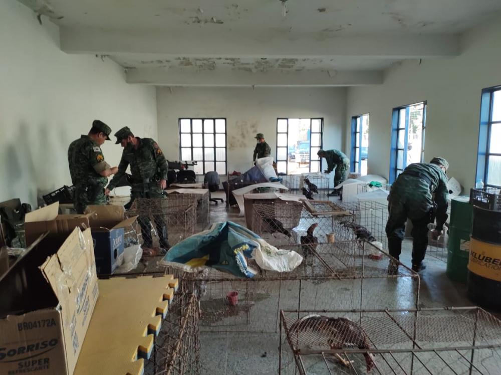 Divulgação / Polícia Militar Ambiental