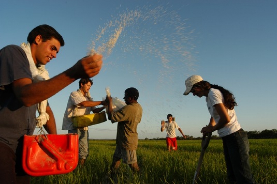 Mais de 825 mil agricultores vão receber Bolsa-Estiagem em 18 de outubro