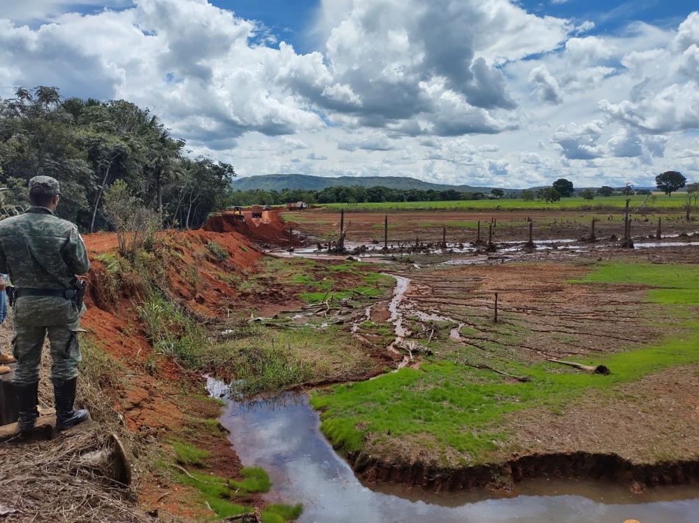 Divulgação / Polícia Militar Ambiental
