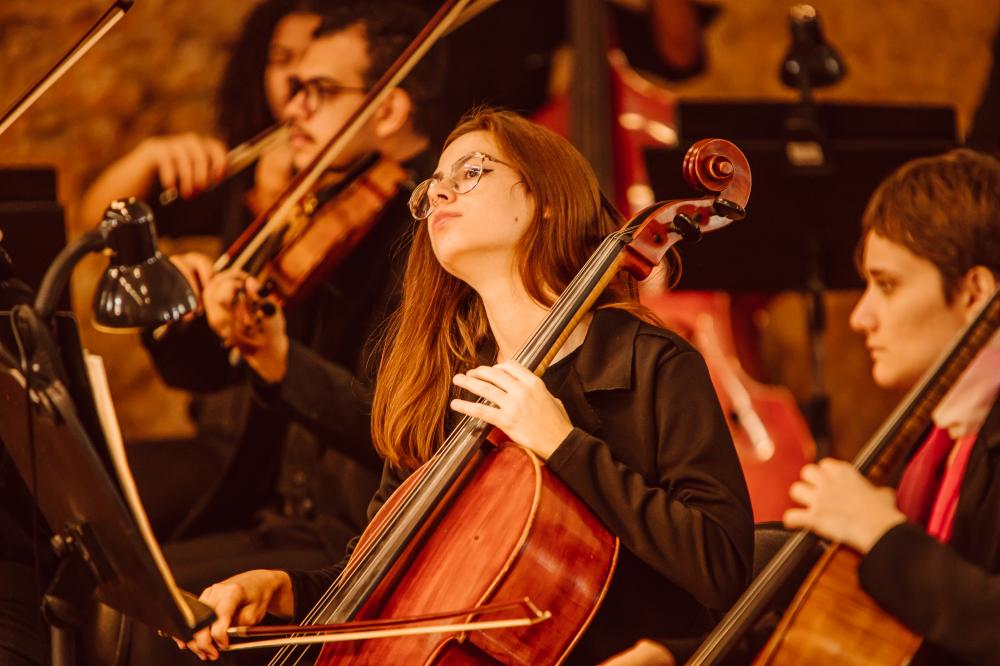 Divulgação / Orquestra Ouro Preto