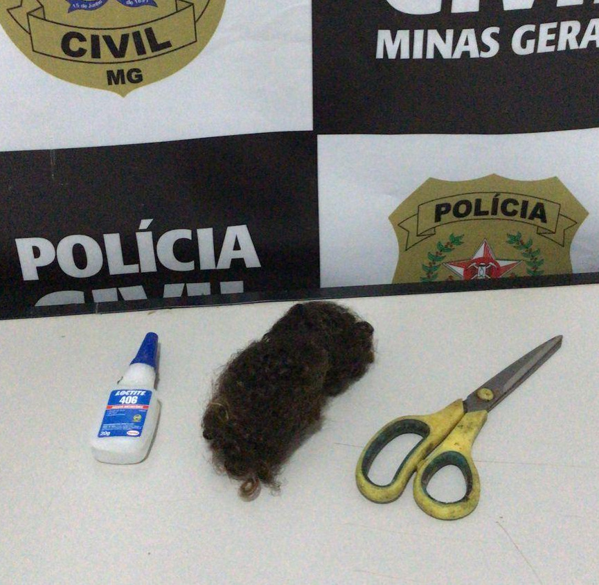 Divulgação / Polícia Cívil