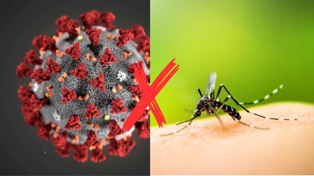 Dengue e Covid-19