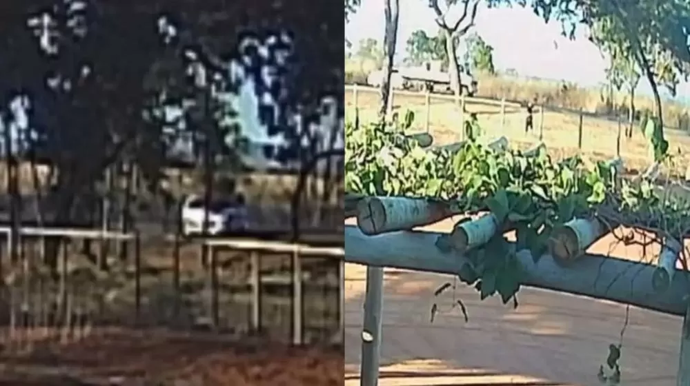 Foto: reproduçao - Gerais News