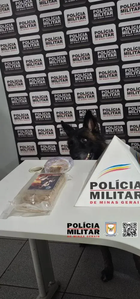 POLÍCIA MILITAR 