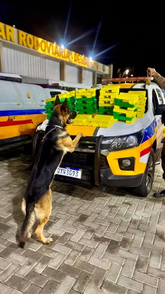 POLÍCIA MILITAR