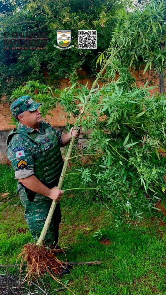 POLÍCIA MILITAR 