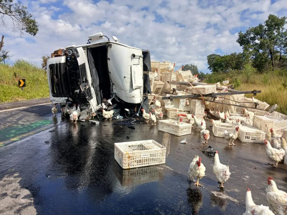 POLÍCIA RODOVIÁRIA FEDERAL