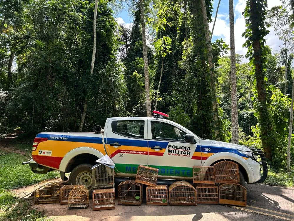 Polícia Militar