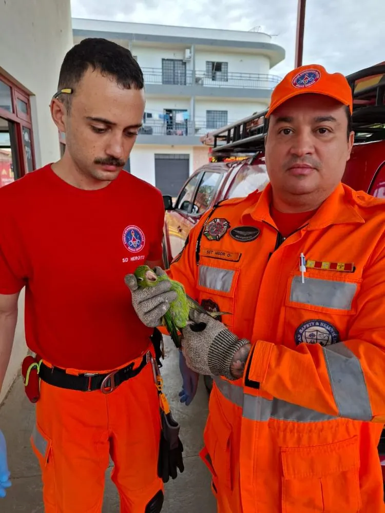 CORPO DE BOMBEIROS