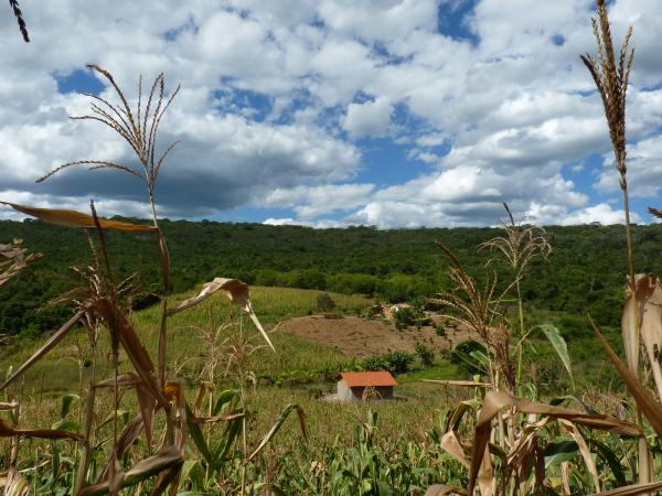 Fotos: José Marcelo Cunha