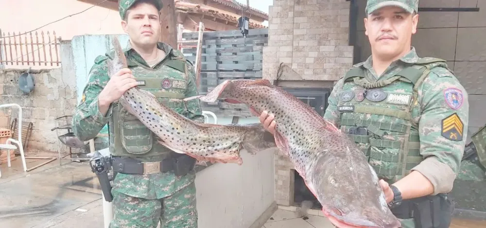 POLÍCIA MILITAR