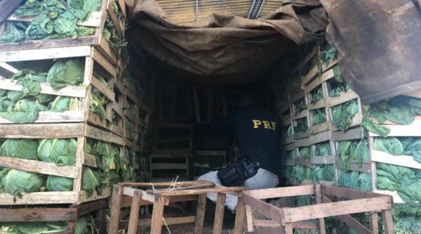  Divulgação / Polícia Rodoviária Federal