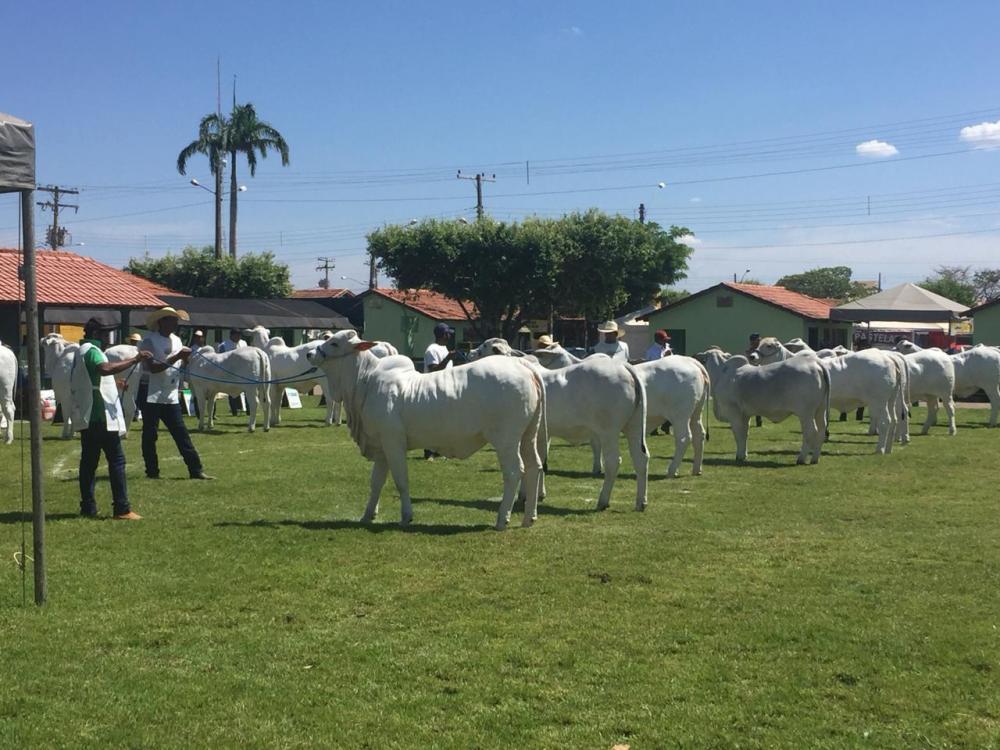 Foto: Divulgação/Assessoria 