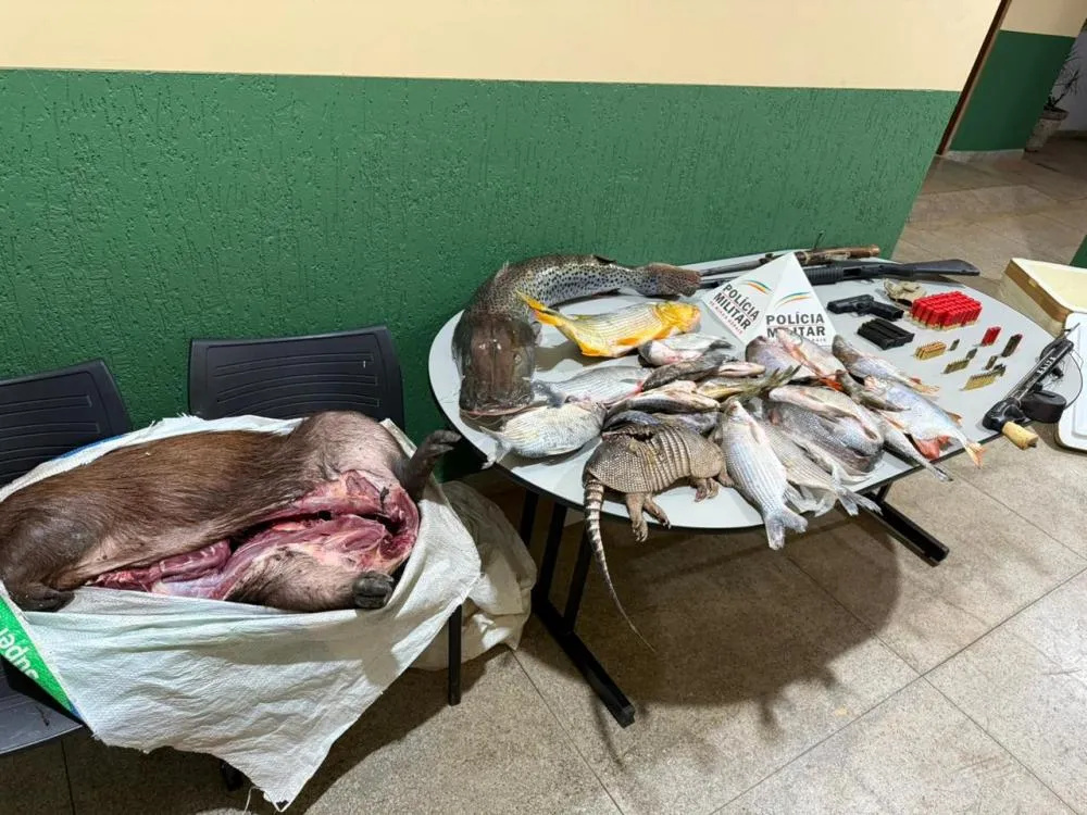 POLÍCIA MILITAR