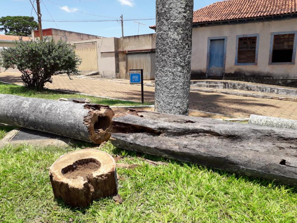 Divulgação/Corpo de Bombeiros