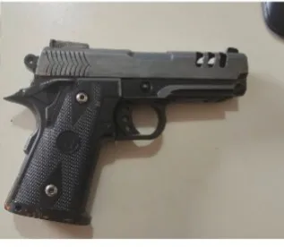 POLÍCIA MILITAR