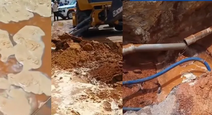 REPRODUÇÃO INTERNET