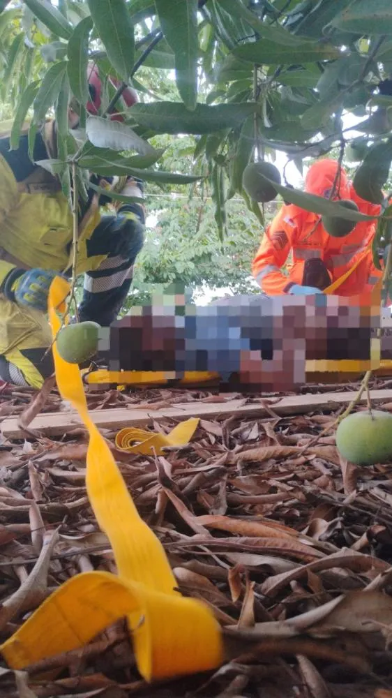 REPRODUÇÃO INTERNET