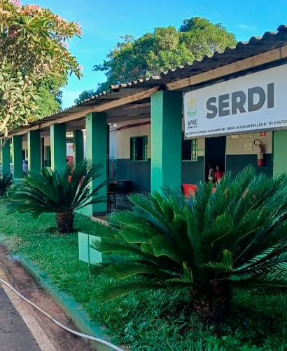 REPRODUÇÃO INTERNET
