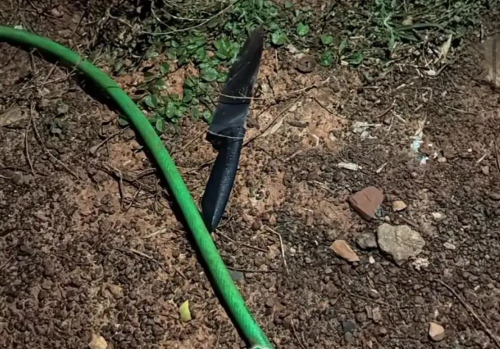 Menor reage para defender a mãe durante agressão e padrasto morre na zona rural de Unaí