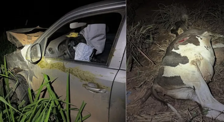 Vaca solta na pista provoca acidente na LMG-628, em Unaí