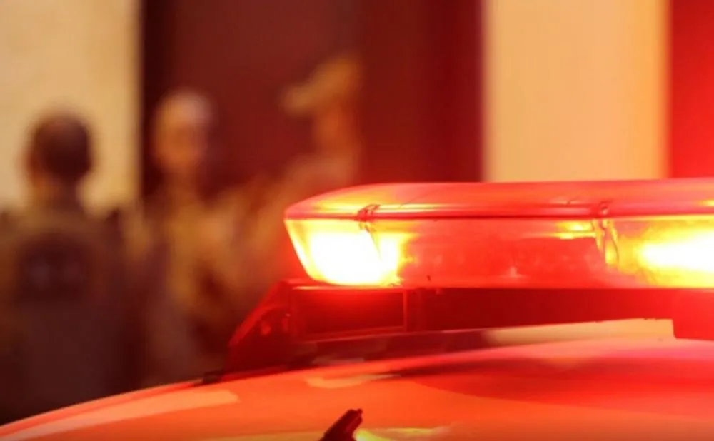 REPRODUÇÃO INTERNET