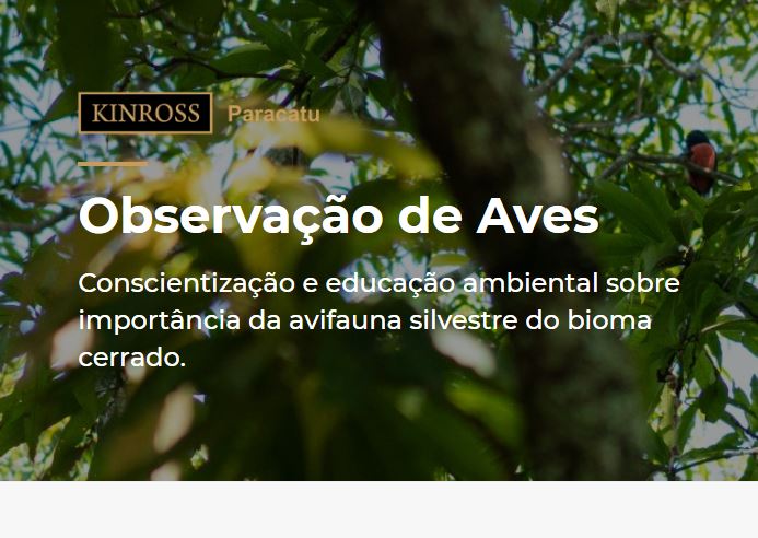 Divulgação